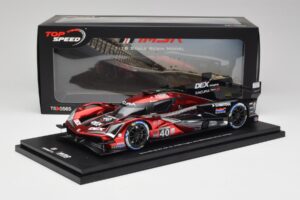 Acura ARX-06 GTP #40 Wayne Taylor Racing with Andretti J. Button / L. Deletraz / C. Herta / J. Taylor 3rd Place Rolex 24 at D - pilt 6/6